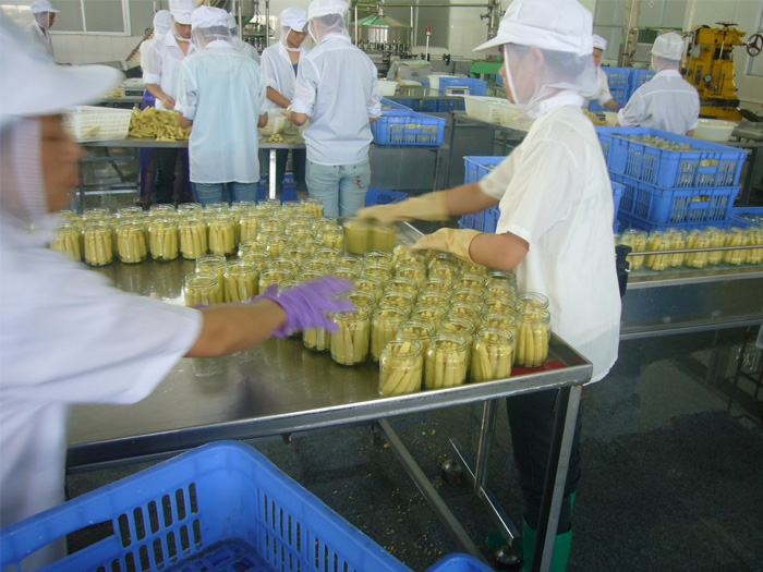 Canning Process